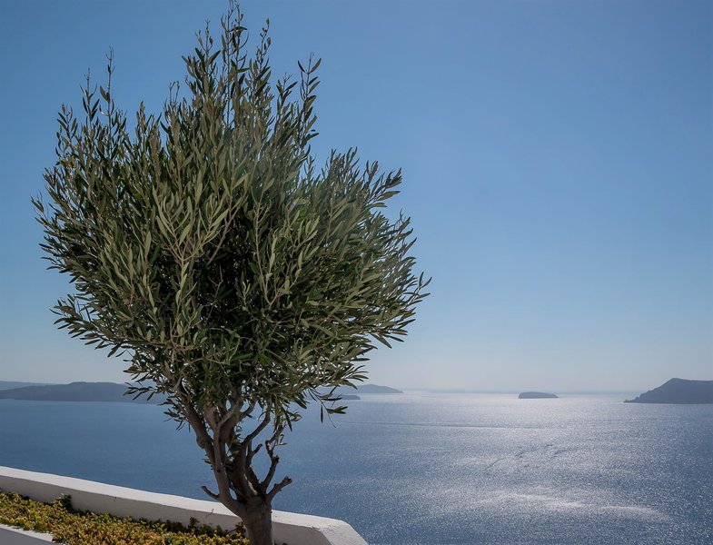 ikies santorini