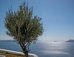 ikies santorini
