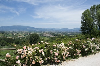 il poggio dei pettirossi
