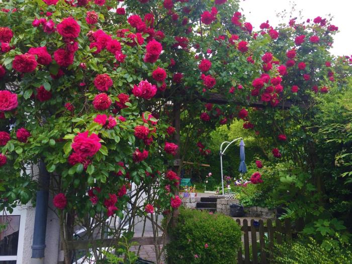 hotel garni niedernhausen