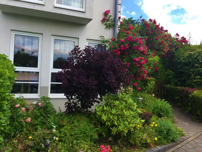 hotel garni niedernhausen