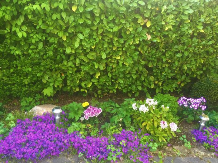 hotel garni niedernhausen