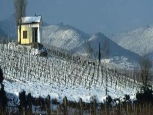 wachenheim an der weinstrasse