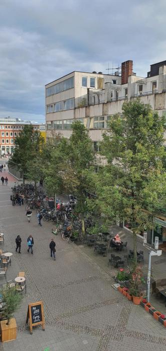 hotel horstmann munster