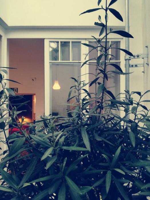 maison marsil boutique hotel