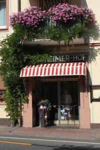 Hotel Rüdesheimer Hof,Bingen Am Rhein>>Assmannshausen,3 star