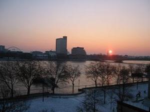 cologne