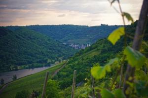 Hotel Sewenig,Cochem-Zell>>Cochem,4 star