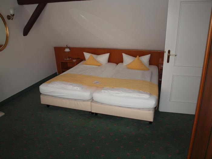 hotel and restaurant bellevue schmolln