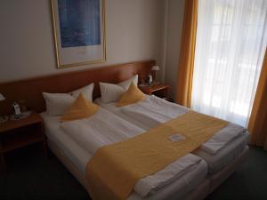 hotel and restaurant bellevue schmolln