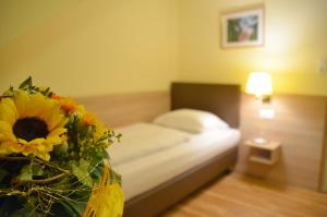 hotel villa kisseleff