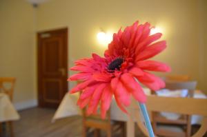 Hotel Villa Kisseleff,Frankfurt>>Bad Homburg V.D. Hoehe,3 star