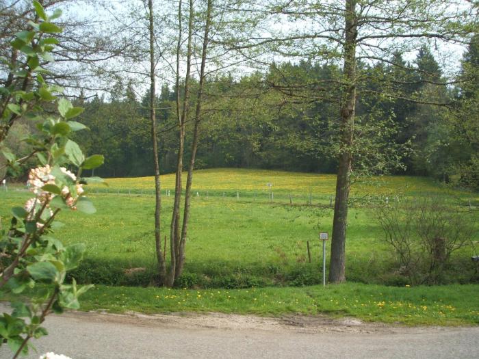 gasthof and landhotel ohrnbachtal