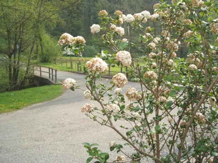 gasthof and landhotel ohrnbachtal