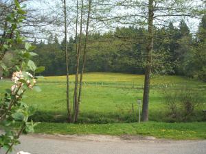 gasthof and landhotel ohrnbachtal