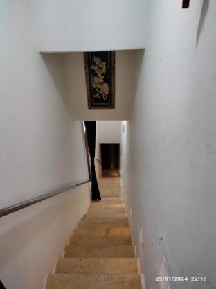 hotel the travel bug jaisalmer