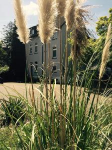 hotel astoria city resort