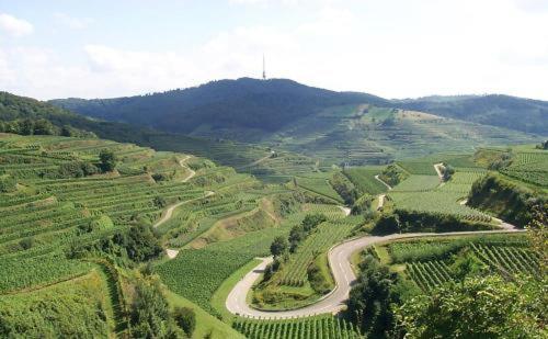 landgasthof zum lamm