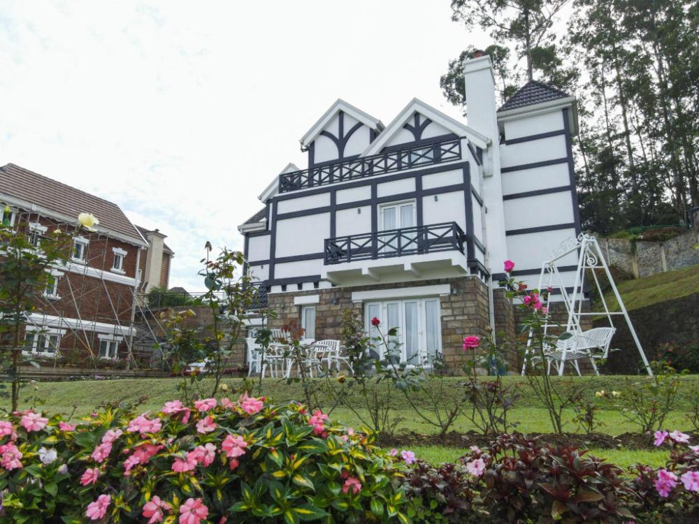 little england by joes