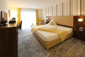 giengen an der brenz