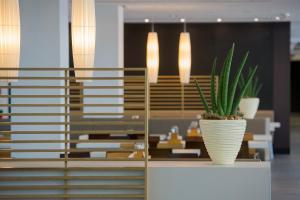 lufthansa seeheim more than a conference hotel