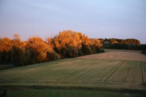 seehotel restaurant die ente