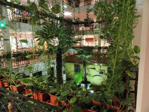 solitaire hotel and boardinghouse berlin