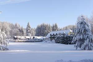 hotel forsthaus luchsenburg