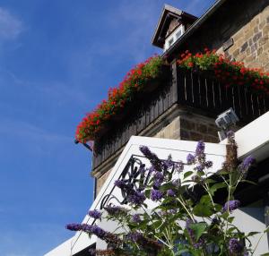 hotel landhaus schieder