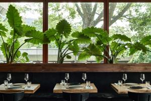 koenigstein im taunus