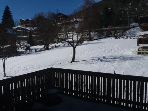 fiesch