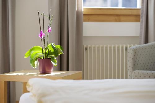 hotel morteratsch