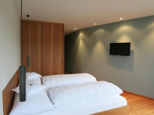 Longhin,Bregaglia>>Bivio,4 star