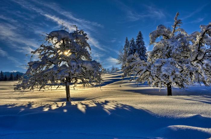 konigshof hotel resort