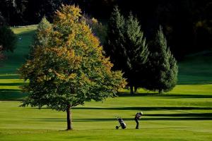 konigshof hotel resort