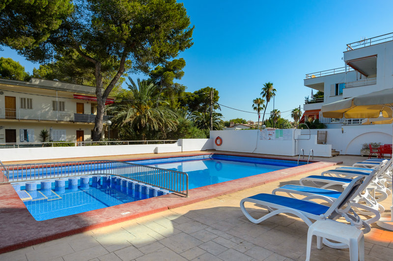 hotel vibra palma cactus