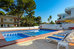 hotel vibra palma cactus