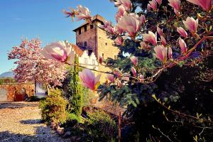 appiano sulla strada del vino