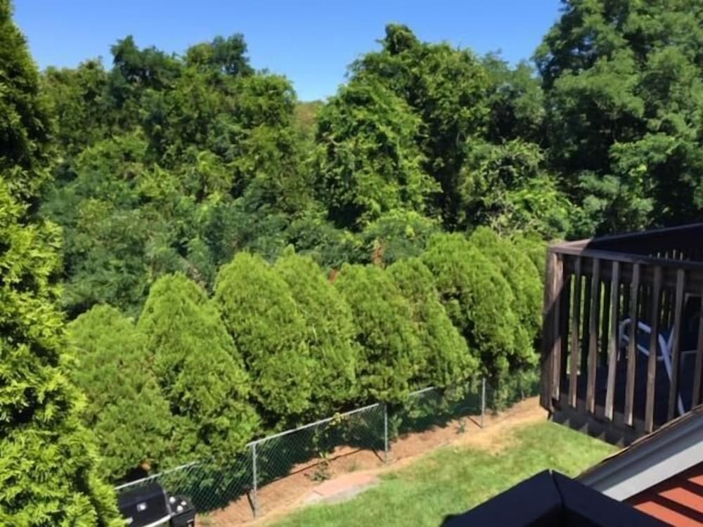 blue spruce motel and townhouses