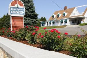 blue spruce motel and townhouses