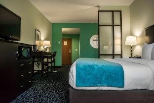 hampton inn by hilton tampa fairgrounds casino