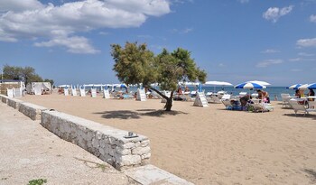 racar hotel and resort