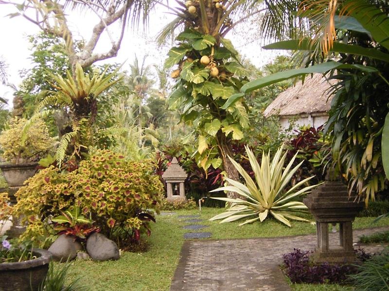 hotel bunga permai