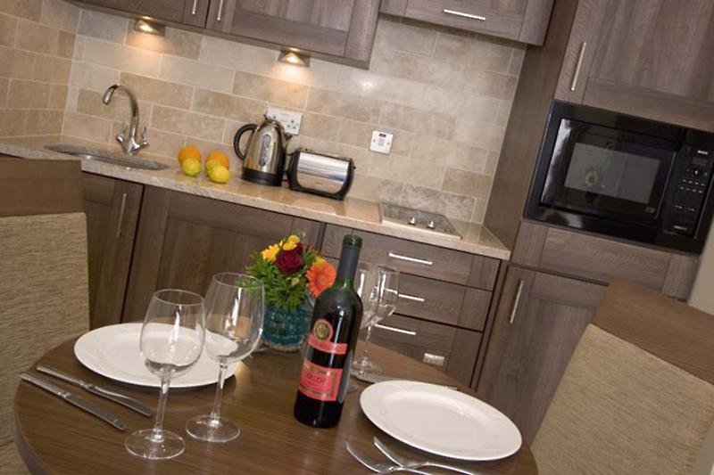 premier suites dublin leeson street