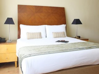 premier suites dublin leeson street