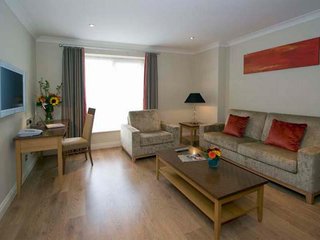 premier suites dublin leeson street