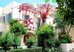 nissia kamares hotel apartments