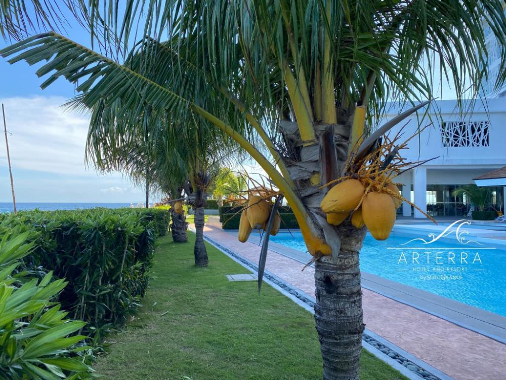 arterra hotel and resort