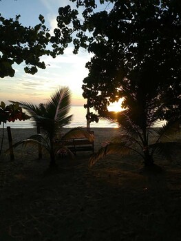 whistling bird resort