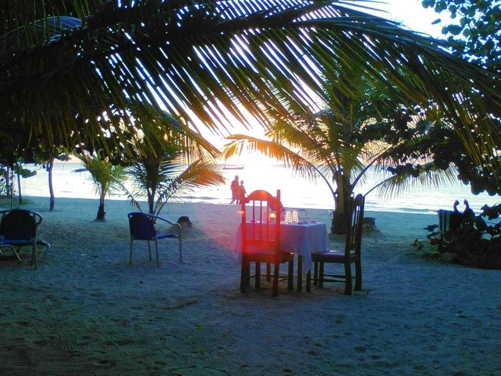 whistling bird resort